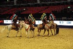Quadrille - 00273